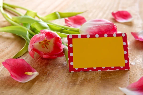 Kytici krásných tulipánů s kartou. — Stock fotografie