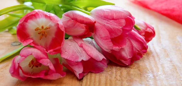 Ramo de tulipán rosa aislado  . — Foto de Stock