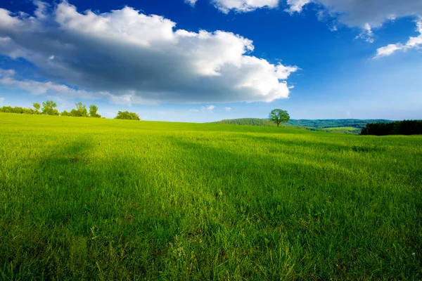 Sommarlandskap med grönt gräs och moln. — Stockfoto