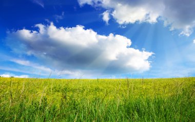 Alman yaz çayır gün batımı.