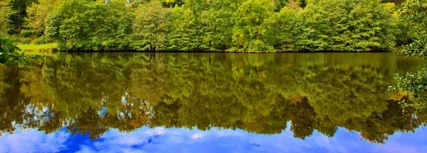 Озеро в осеннем лесу с отражением . — стоковое фото