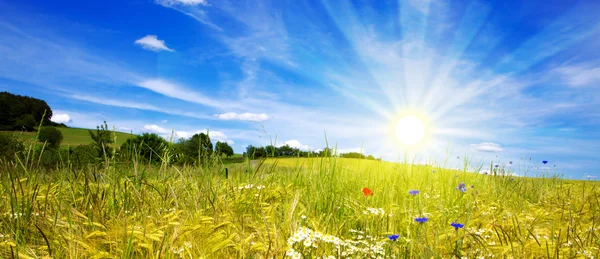 Solnedgång i tyska Sommaräng. — Stockfoto