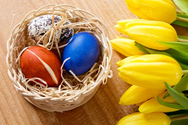 Easter basket with colored eggs and yellow tulips. — Stock Photo, Image