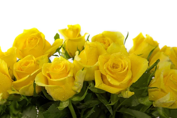 Fondo rosas amarillas . — Foto de Stock