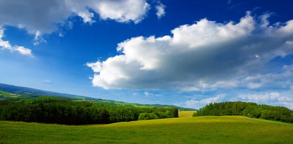 Summer landscape with field and clouds.