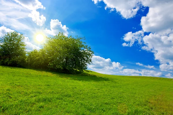 Sunset in German summer field. Stock Photo