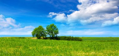 Göl ve yeşil ağaçlar gökyüzü arka plan üzerinde.