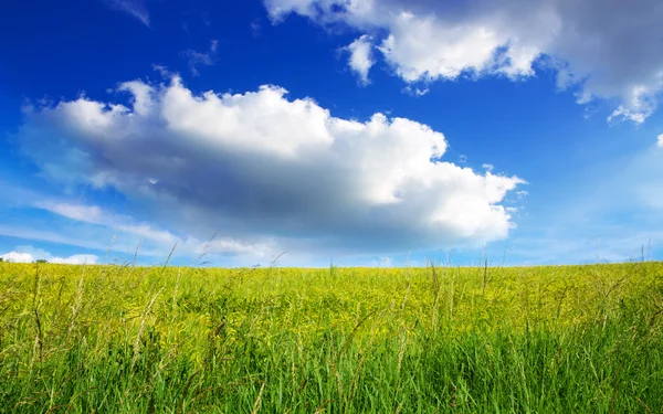 草原と青い空: — ストック写真