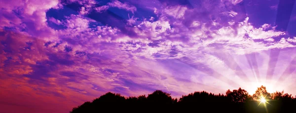 Sonnenuntergang Himmel über Wald. — Stockfoto