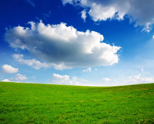 Paysage d'été avec herbe verte et ciel bleu. — Photo