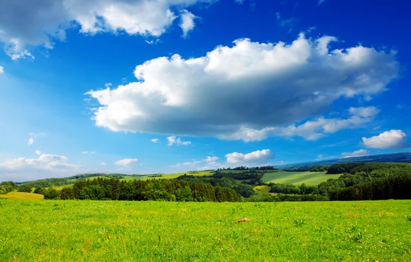 Sommarlandskap med fält och moln. — Stockfoto