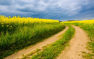 Tecavüz alanı ve gri bulutlar .