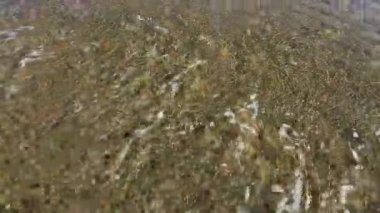 Kum Sahili 'nde Deniz Dalgaları .