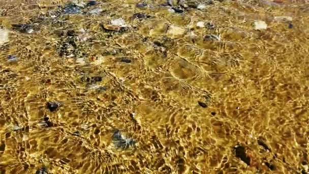 Brillant fond d'ondulation de l'eau de mer . — Video