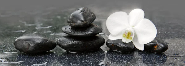 Orquídea blanca y piedras negras de cerca . —  Fotos de Stock