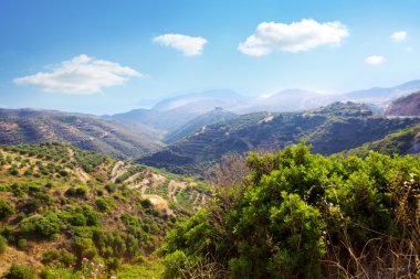 Yaz dağ manzaralı Yunanistan.