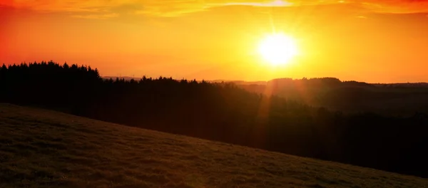 Sunrise over black forest mist. — Stock Photo, Image