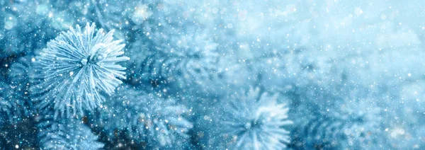 Sfondo di Natale con rami di pino e nevicate. — Foto Stock