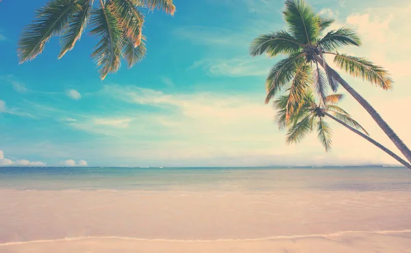Beyaz tropikal sahilde Karayip denizi ve yeşil palmiye ağaçları. — Stok fotoğraf