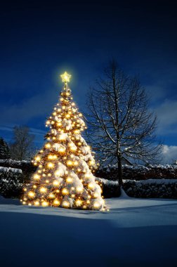 Beyaz karlı bir Noel ağacı. Noel Kartı.