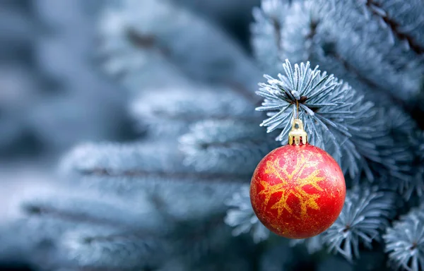 Vörös Karácsonyi Bál lóg egy fenyőfa ágon. Karácsonyi háttér. — Stock Fotó