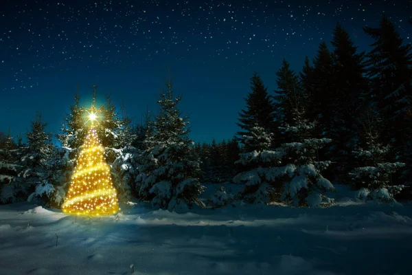Weihnachtsbaum im Winterwald und Sternenhimmel. Weihnachtskarte. — Stockfoto