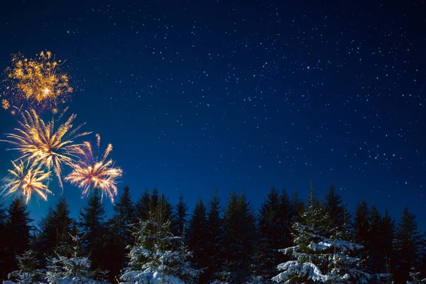 Kleurrijk vuurwerk op de nachtelijke hemel.Nieuwjaar achtergrond. — Stockfoto
