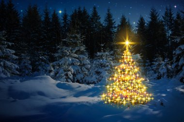 Kış ormanlarında Noel ağacı ve yıldızlar gökyüzünde. Noel Kartı.