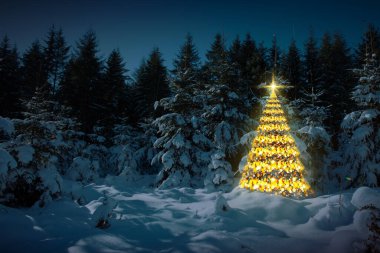 Kış ormanındaki Noel ağacı karla doludur. Noel Kartı.
