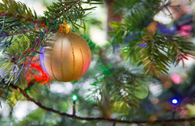 Bir firavun ağacının dalında asılı Noel Balosu. Noel Arkaplanı.