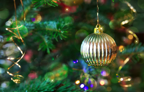 Bir firavun ağacının dalında asılı Noel Balosu. Noel Arkaplanı.