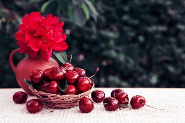 Sepetteki büyük kirazlar ve izole edilmiş sürahide kırmızı şakayıklar.