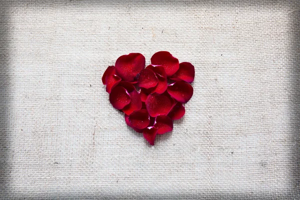 Red heart of roses petals isolated on a cloth background. — Stock Photo, Image