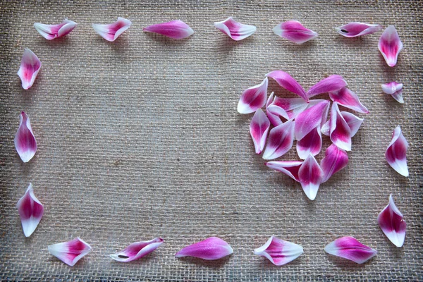 Valentines day background with heart of roses petals — Stock Photo, Image