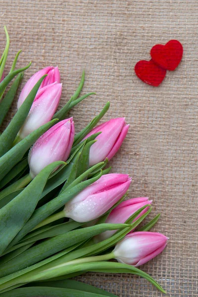 Růžové tulipány a červená srdce izolované na látkovém pozadí. — Stock fotografie