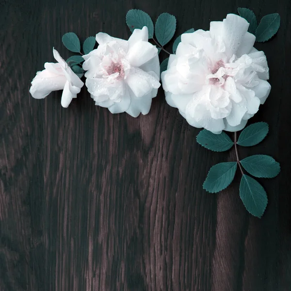 White roses on brown wooden background.Copy space — Stock Photo, Image