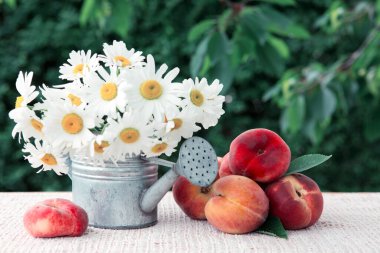Olgun şeftali ve papatyalar yeşil bir teneke kutuda izole edilmiş..