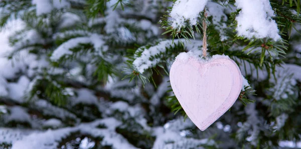 粉红的心，雪覆在松枝上。情人节背景. — 图库照片