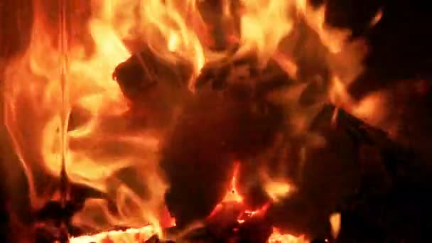 Flammes de feu dans une cheminée.. — Video