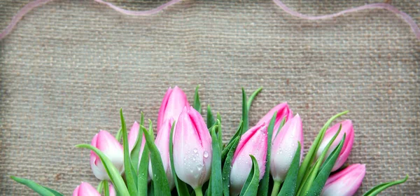 Pink Tulips isolated on brown cloth Background. — Stock Photo, Image