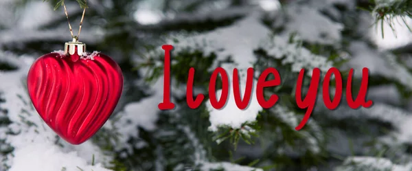 Red heart on snow covered pine branch .Valentines day background. — Stock Photo, Image