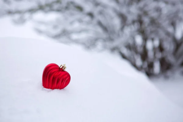 白い雪の中の赤いハート。バレンタインデーの背景. — ストック写真