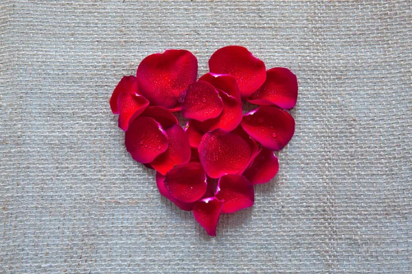 Cuore rosso di petali di rose isolato su uno sfondo di stoffa. — Foto Stock