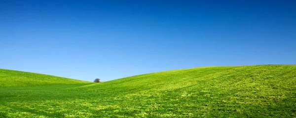 Printemps paysage fond avec ciel bleu et champ d'herbe verte. — Photo