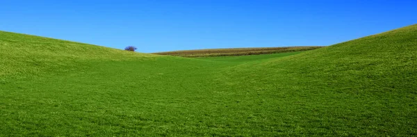 Primavera paisagem fundo com céu azul e campo de grama verde. — Fotografia de Stock