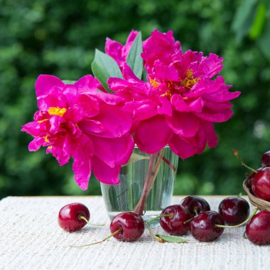Büyük kirazlar ve kırmızı şakayıklar yeşil bardakta izole edilmiş..