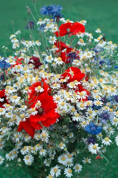 Vilda blommor bukett med prästkragar och blåklint. — Stockfoto