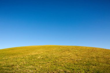 Sonbahar manzarası mavi gökyüzü ve sarı çimen tarlası.