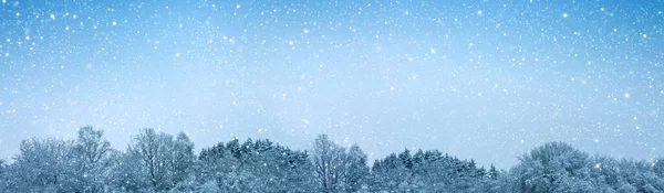 Vinterpanorama landskap med träd täckt snö och snöfall . — Stockfoto