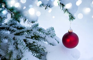 Beyaz kardaki çam dallarında asılı Noel kırmızı topu .
